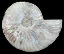 Silver Iridescent Ammonite - Madagascar #54883-1